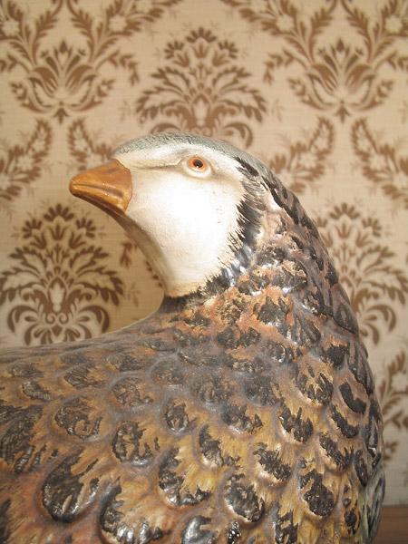 matching bird/wallpaper