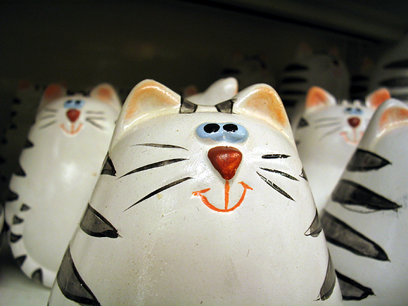 here kitty kitty
