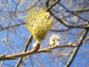 spring is here