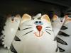 here kitty kitty