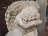 Chinese lion