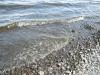 waves