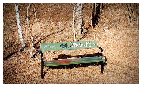 bank2.jpg