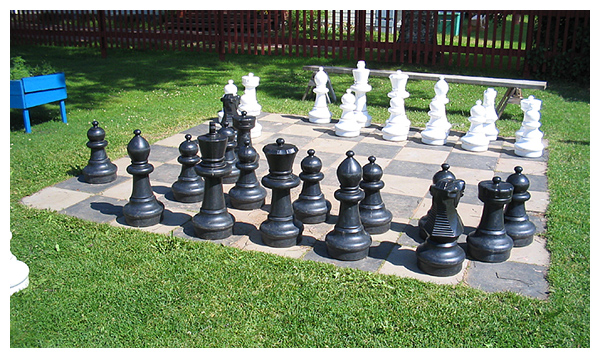 playchess.jpg