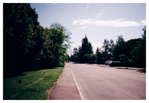 street.jpg